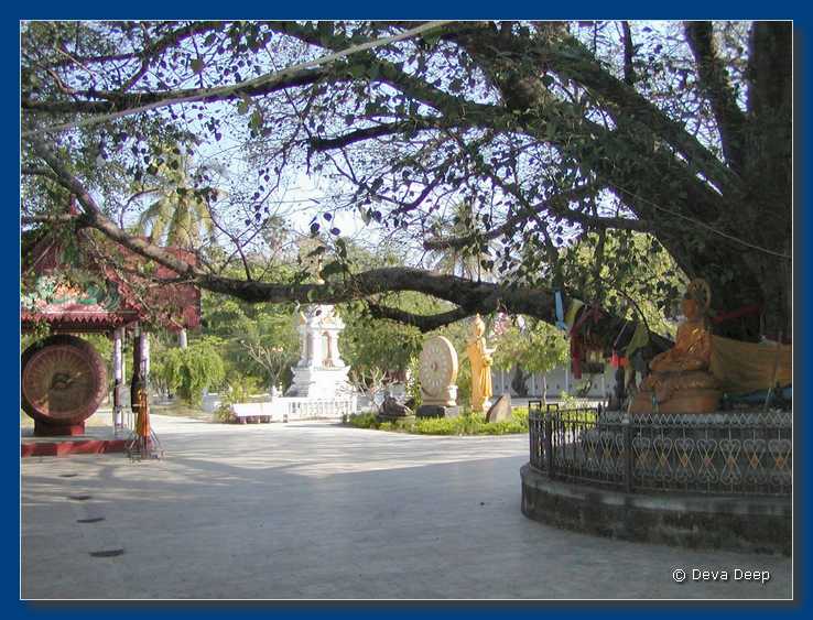 That Phanom Wat Phra TP 20031222-29